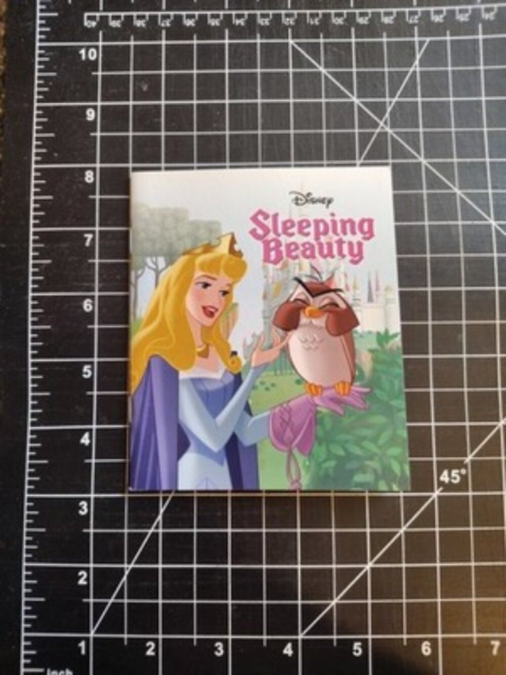 Disney Advent Calendar Many Book Autumn Publishing Sleeping Beauty